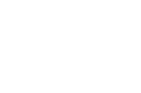 Schaefer Acres Doodles and Shepherds